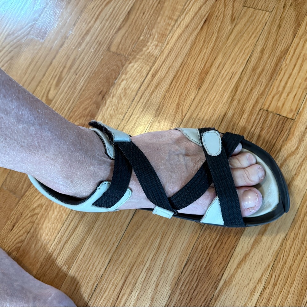 Wolky Stylish Black and Cream Women's Sandals Size 39